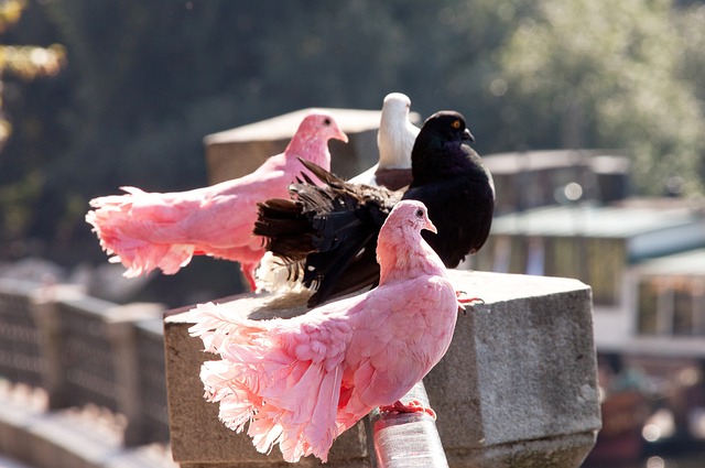 开场16分钟35秒，巴萨遭遇欧冠单场比赛最快的两个丢球