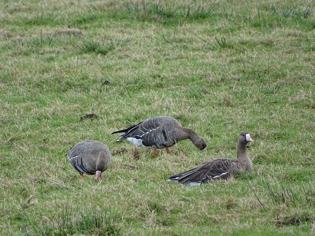 东体谈中超外援名额调整：足协、中足联应多听听俱乐部的意见
