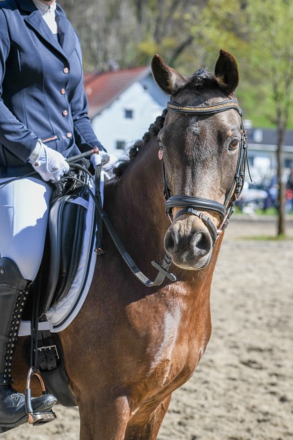 以应对不同 以应对不同