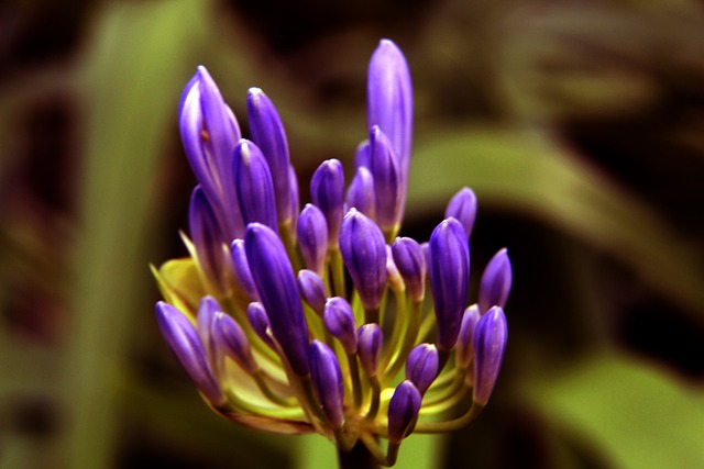 更成为了当 更成为了当