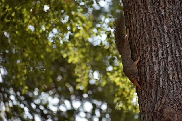 在他面前几 在他面前几